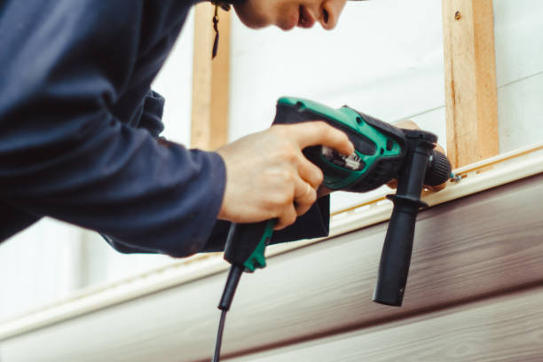 Affordable Siding Repair and Maintenance Services in Carmichael, CA